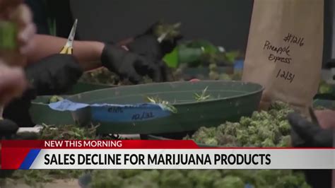 Report: Colorado pot sales continuing to decline